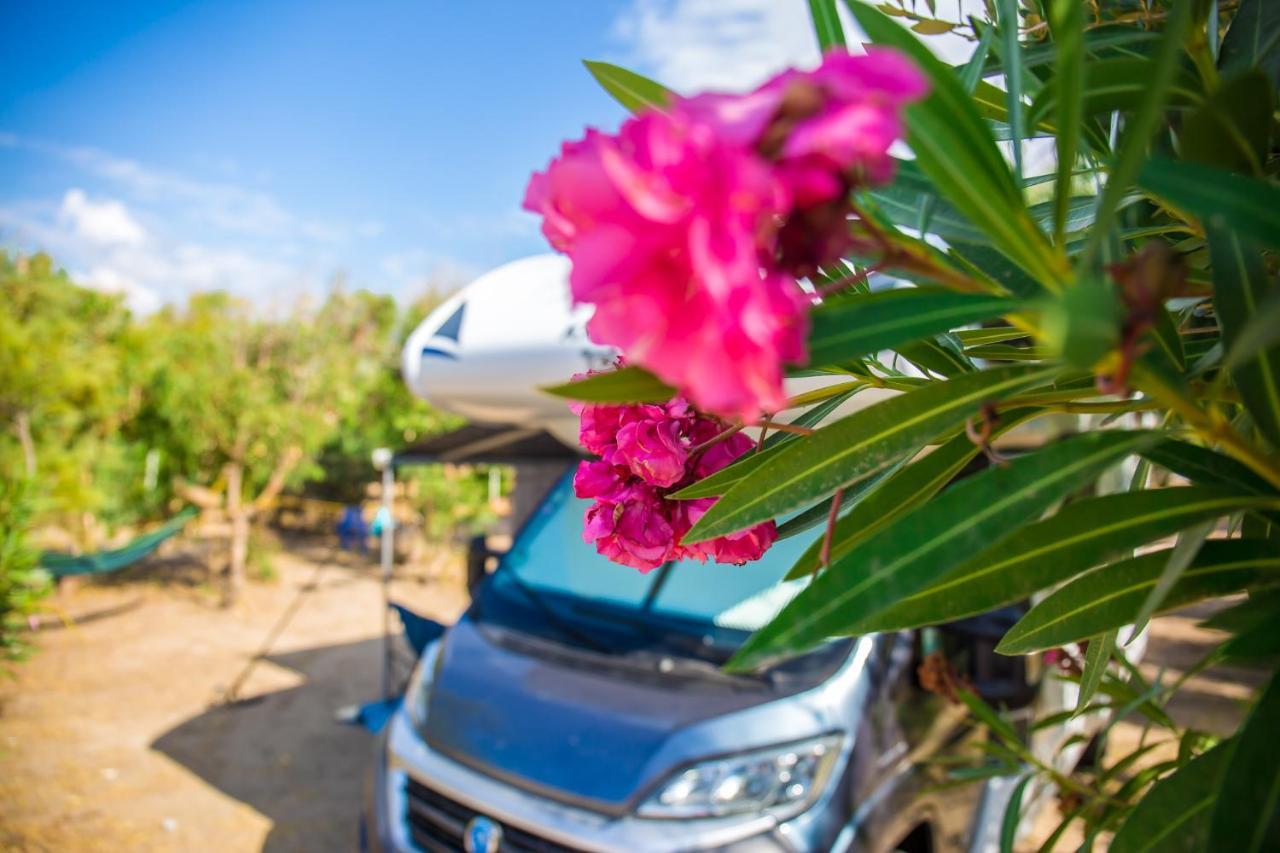 Village & Camping La Foce 발레도리아 외부 사진